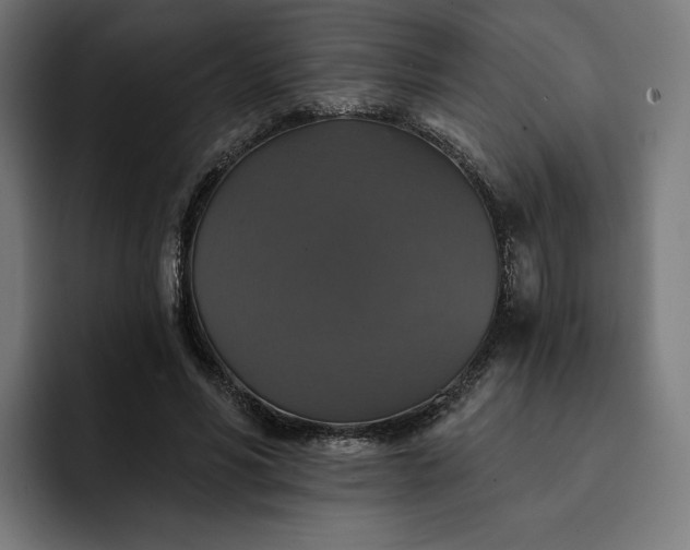 X0000093130590200710101100