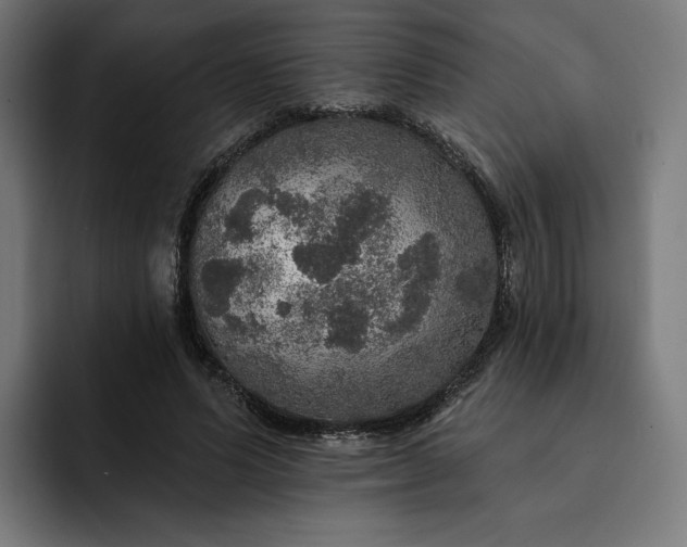 X0000093130591200710101100