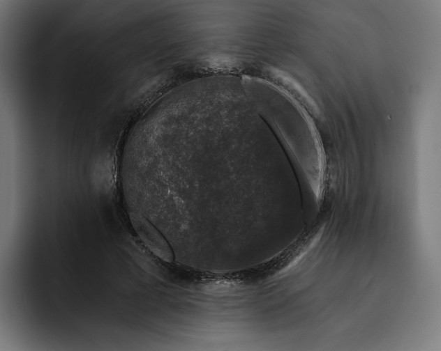 X0000093130593200710101100