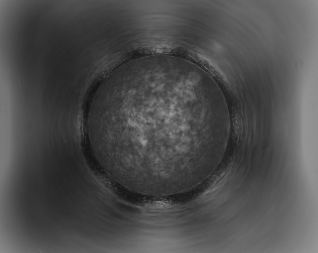 X0000093130594200710101100