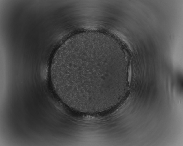 X0000093130596200710101100