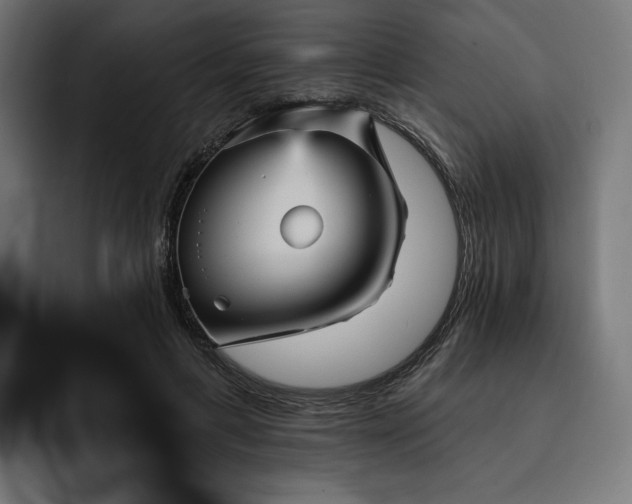 X0000093130597200710101100