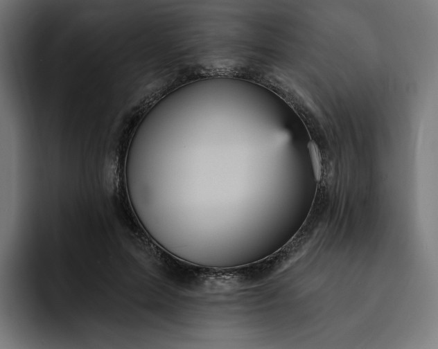 X0000093130599200710101100