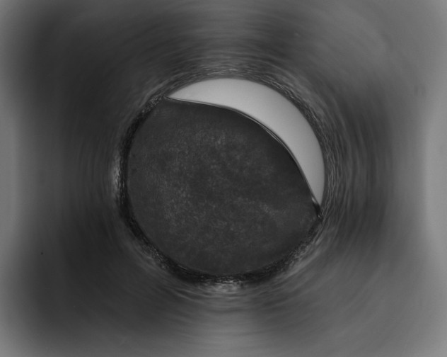 X0000093130600200710101100