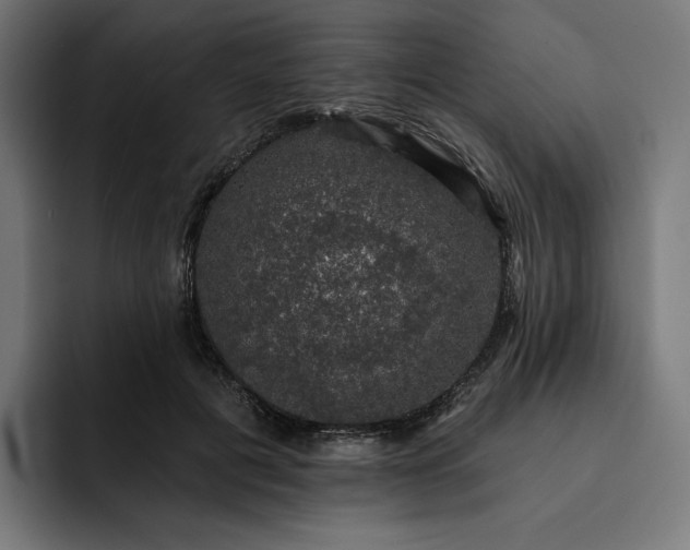 X0000093130601200710101100