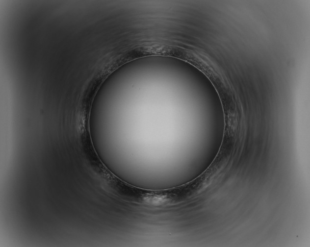 X0000093130602200710101100