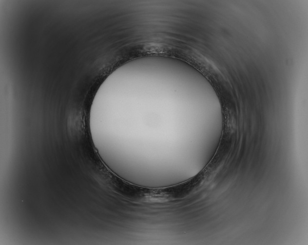 X0000093130603200710101100