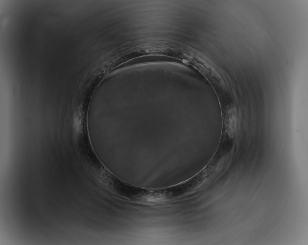 X0000093130604200710101100