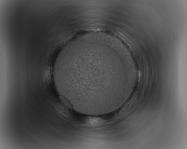 X0000093130605200710101100