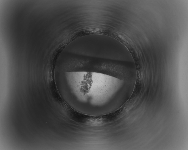 X0000093130606200710101100