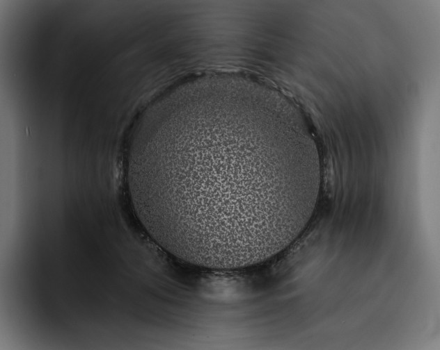 X0000093130608200710101100