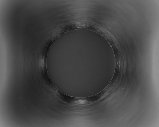 X0000093130610200710101100