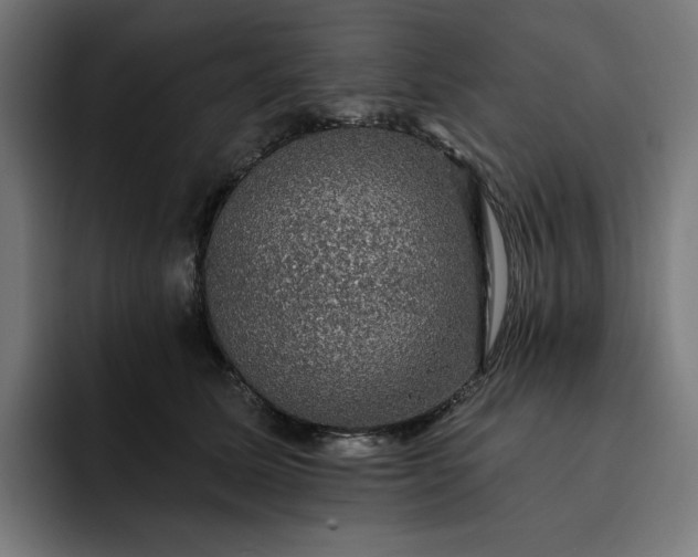 X0000093130611200710101100