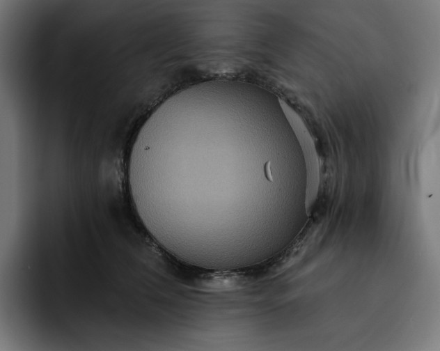 X0000093130612200710101100