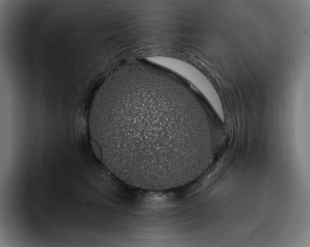 X0000093130613200710101100