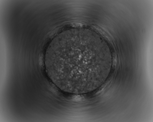 X0000093130616200710101100