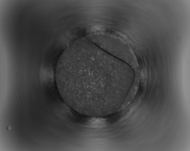 X0000093130617200710101100