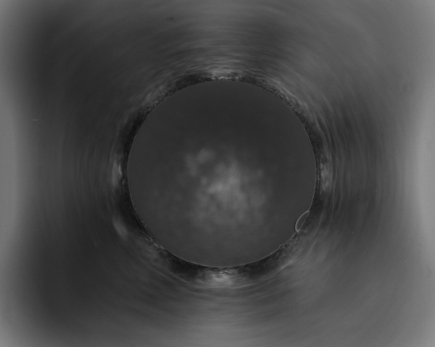 X0000093130618200710101100