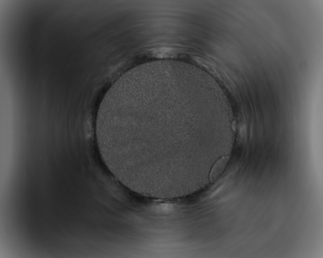 X0000093130620200710101100