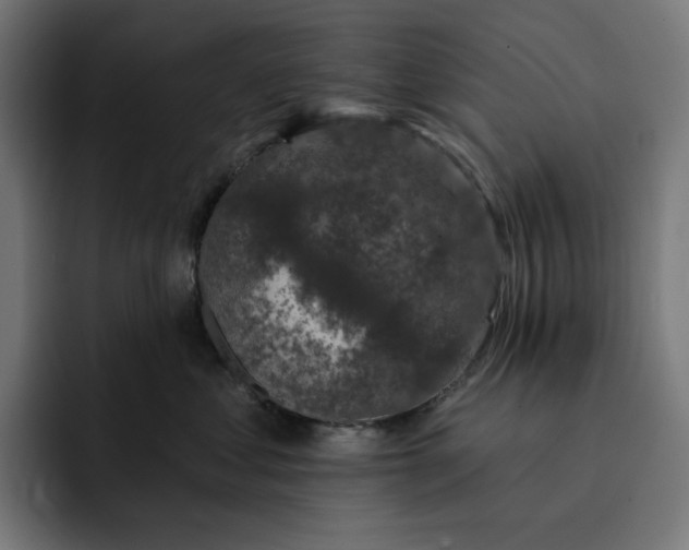 X0000093130621200710101100