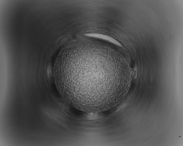 X0000093130623200710101100