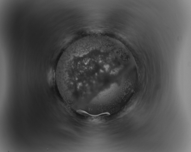 X0000093130624200710101100