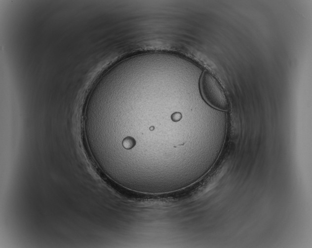 X0000093130625200710101059