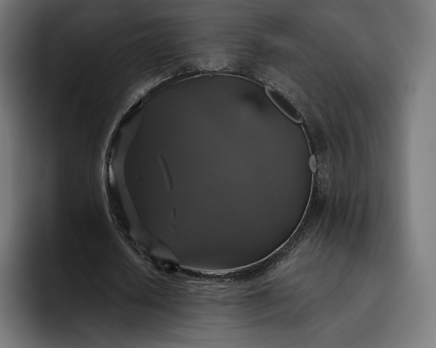 X0000093130626200710101059