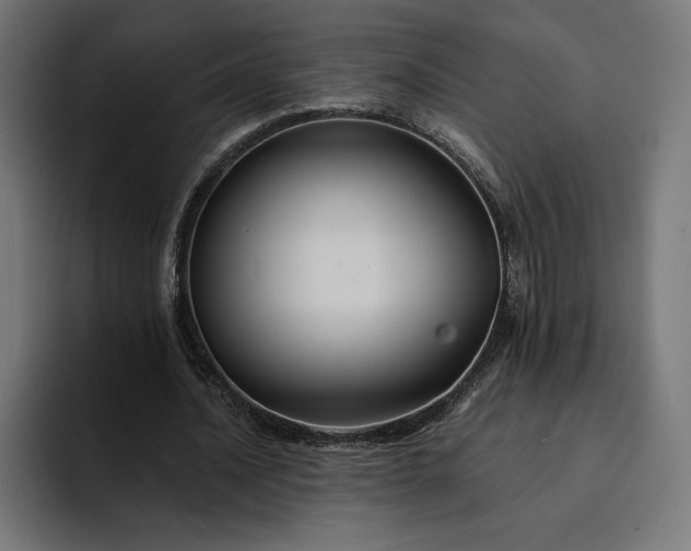 X0000093130628200710101059