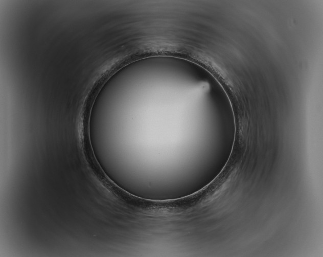 X0000093130629200710101059