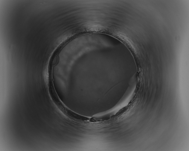 X0000093130630200710101059