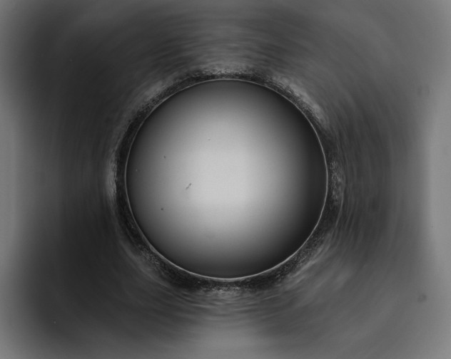 X0000093130631200710101059