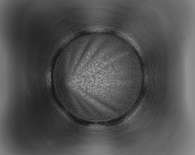 X0000093130633200710101059