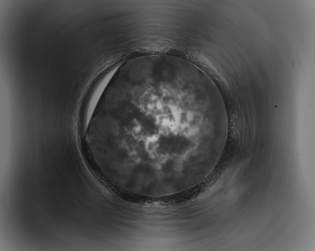 X0000093130634200710101059