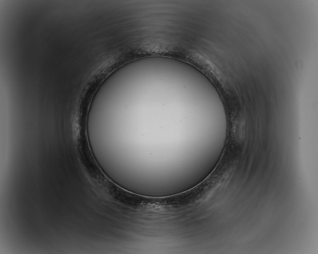 X0000093130635200710101059