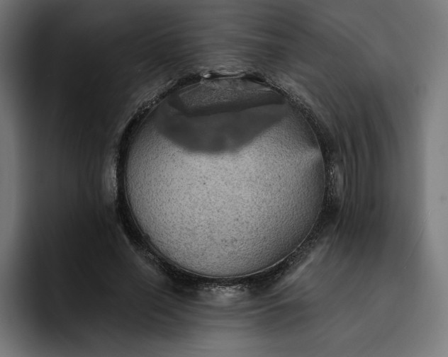 X0000093130638200710101100