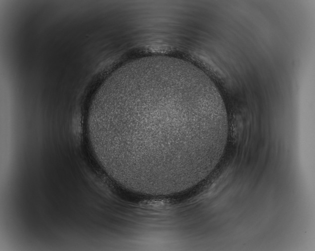 X0000093130639200710101100