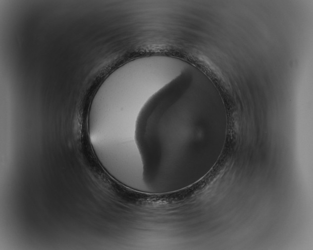 X0000093130640200710101100