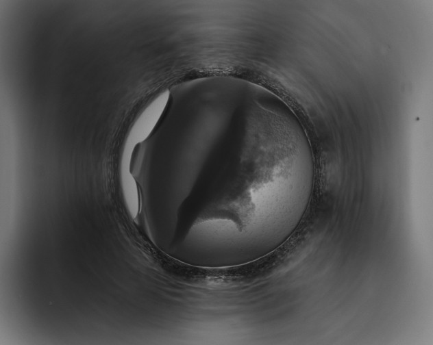 X0000093130641200710101100