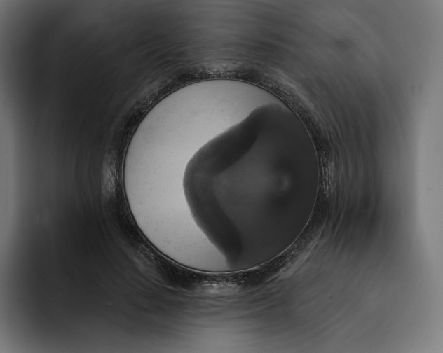 X0000093130644200710101100