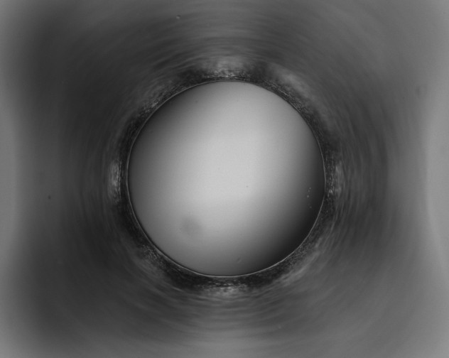 X0000093130646200710101100