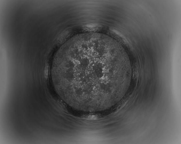 X0000093130647200710101100