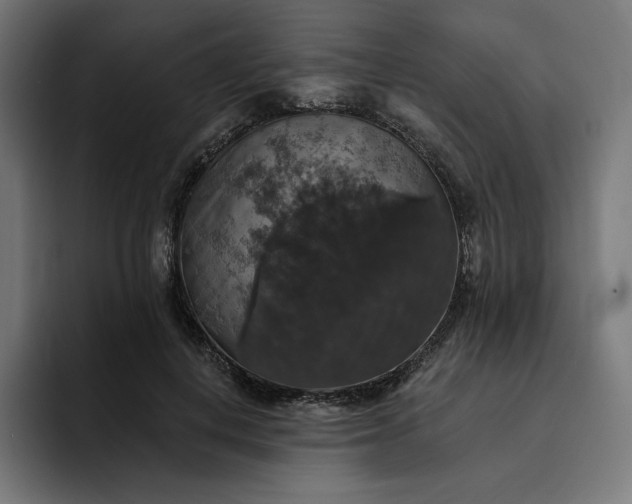 X0000093130648200710101100