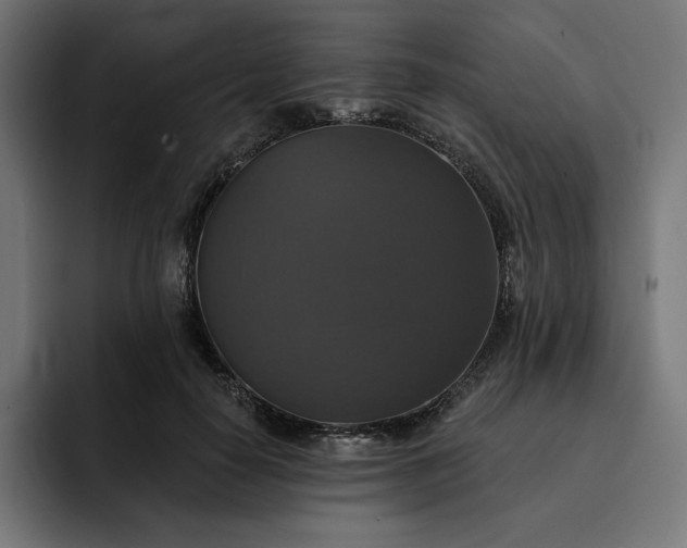 X0000093130650200710101100