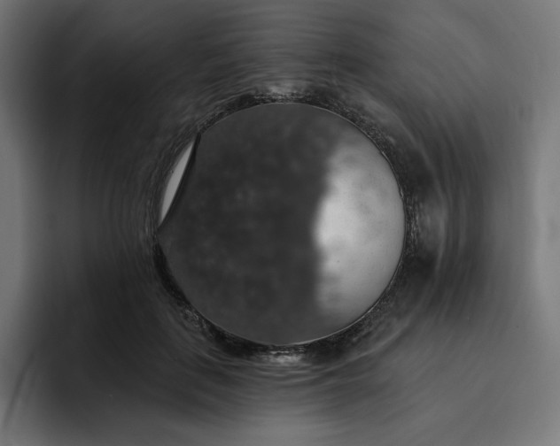 X0000093130651200710101100