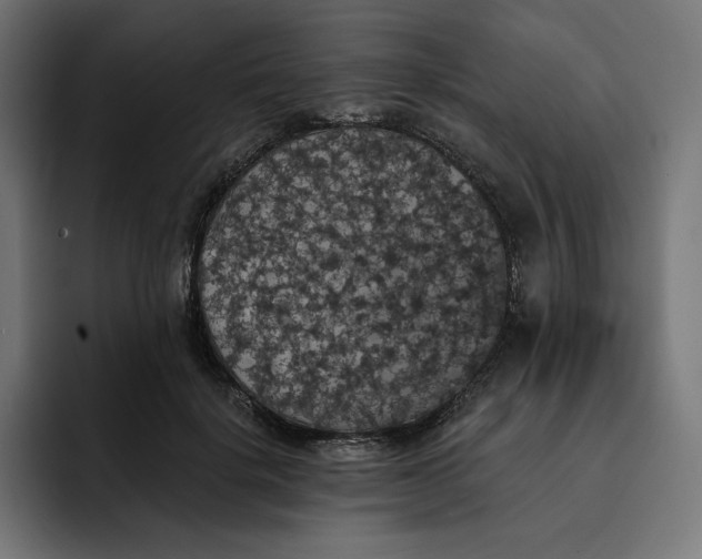 X0000093130652200710101100