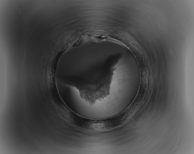 X0000093130653200710101100