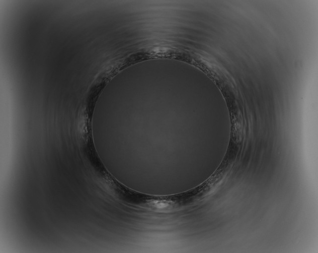 X0000093130654200710101100