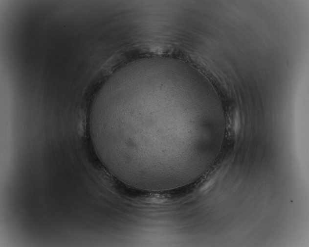 X0000093130656200710101100