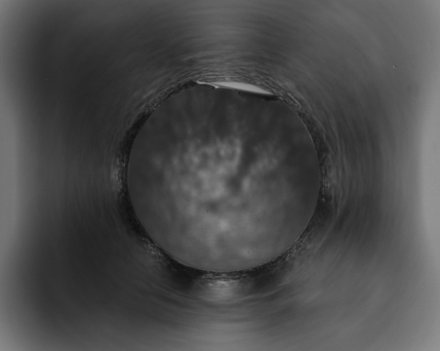 X0000093130658200710101100